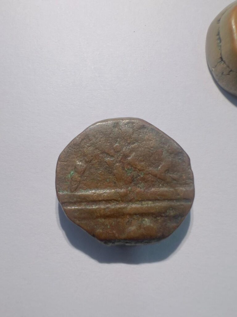 WhatsApp Image 2025-11-12 at 4.38.49 PM